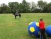 img_9023_small.jpg
