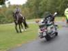 pa020071_small.jpg