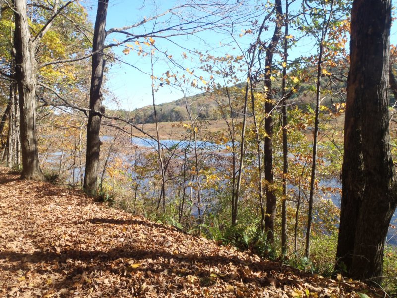 pa120127.jpg