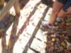pa120138_small.jpg