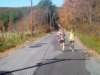 pa120156_small.jpg