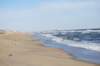 dsc_0010_small.jpg
