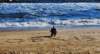 dsc_0017adec_small.jpg