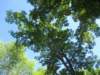 img_6685_small.jpg