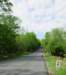 img_1881_small.jpg