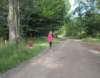 img_7981_small.jpg