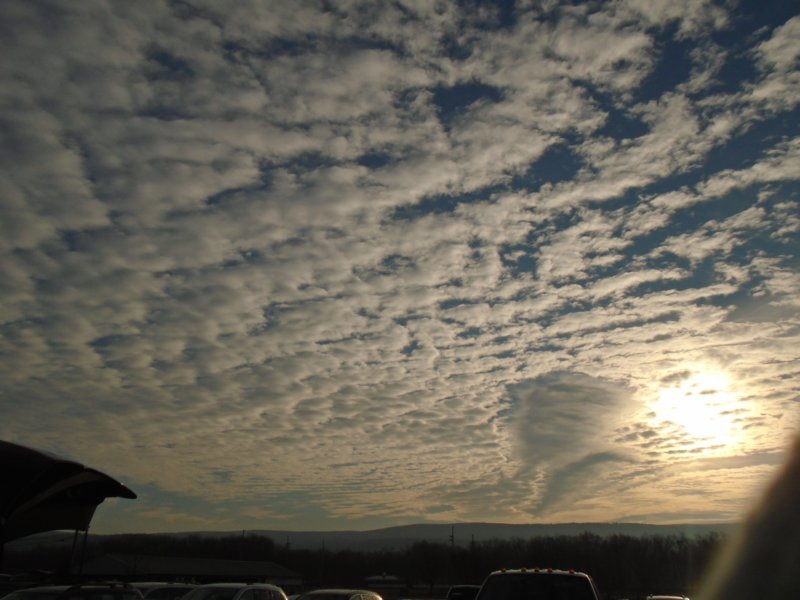 dsc00403.jpg