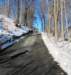 dsc00091_small.jpg