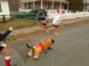 dsc00615_small.jpg