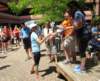 img_5510_small.jpg