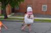 dsc_0182_small.jpg