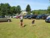 img_6106_small.jpg