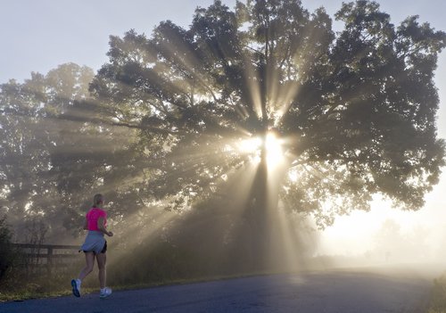 hambletonianfoggyrun91414.jpg