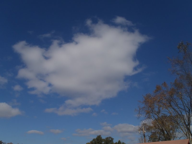 pa130151.jpg