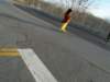 dsc00102_small.jpg