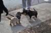 dsc_0017_small.jpg
