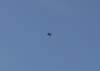 dsc_0317_small.jpg