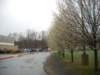Photo Number 5