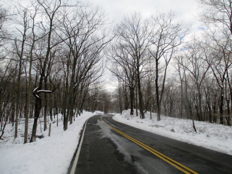img_6767.jpg
