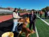 dji_20261018100723_0097_d_small.jpg