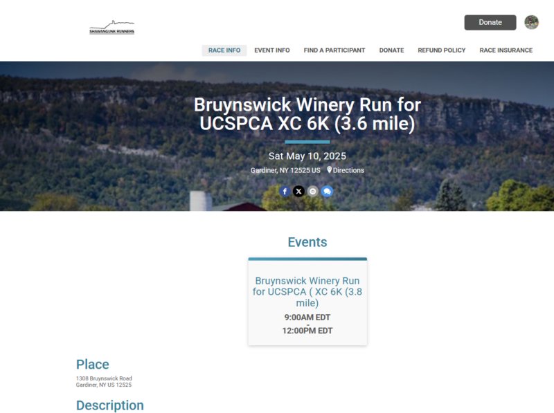 website.jpg