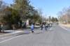 dsc_0176_small.jpg