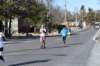 dsc_0778_small.jpg