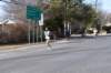 dsc_0818_small.jpg
