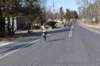 dsc_0845_small.jpg