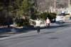 dsc_0013_small.jpg