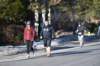 dsc_0050_small.jpg