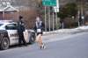 dsc_0378_small.jpg