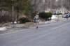dsc_0733_small.jpg