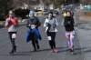 dsc_0780_small.jpg