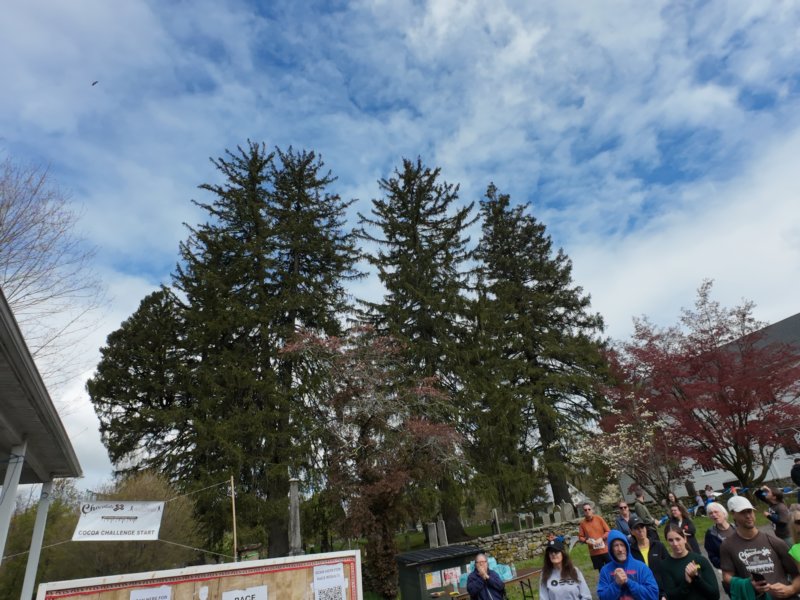 dji_20260426105638_0586_d.jpg