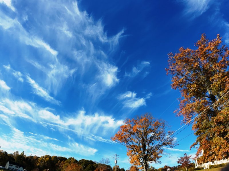 dji_20261024094524_0238_d.jpg