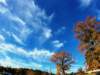 dji_20261024094524_0238_d_small.jpg