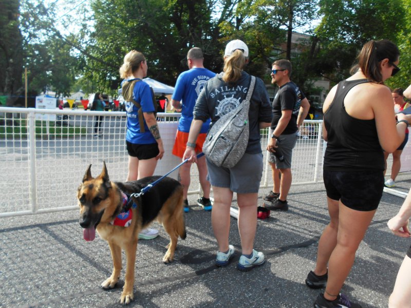 dscn0520.jpg