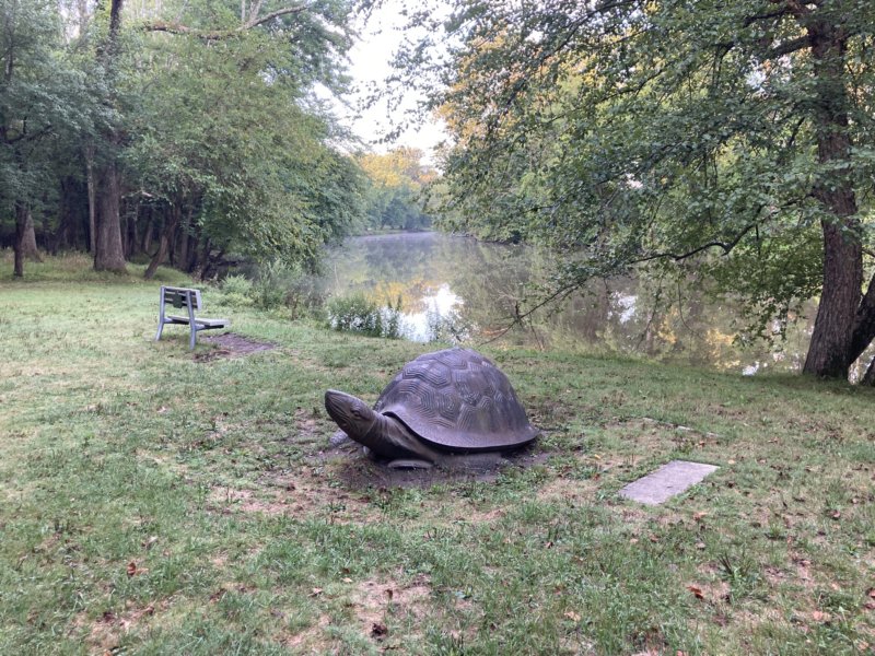 img_5689.jpg