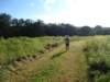 dsc00484_small.jpg