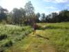 dsc00487_small.jpg