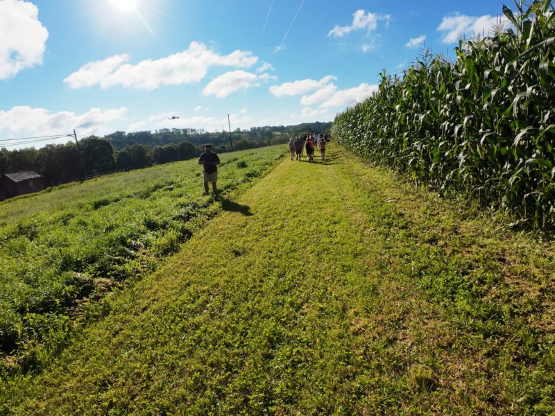 dji_20260905083746_0892_d.jpg