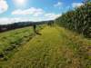 dji_20260905083746_0892_d_small.jpg