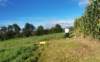 dji_20260905083935_0895_d_small.jpg