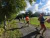 dji_20260905091301_0918_d_small.jpg