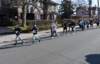 dsc_0060_small.jpg
