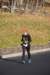son02064_small.jpg