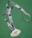 awardback_dsc_0109ce_small.jpg