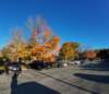dji_20261025083450_0373_d_small.jpg