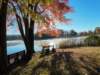 dji_20261025084518_0384_d_small.jpg